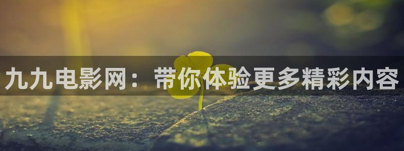 午夜电影精品一区二区久久久