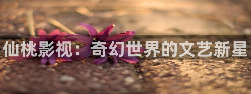 午夜电影美国：仙桃影视：奇幻世界的文艺新星